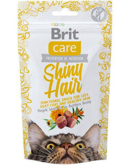 Brit Care Cat Snack Shiny Hair 50g, kissoille hinta ja tiedot | Kissan herkut | hobbyhall.fi