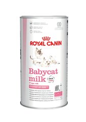 Maidonkorvike Royal Canin Babycat Milk, 300 g. hinta ja tiedot | Kissan terveys ja hyvinvointi | hobbyhall.fi