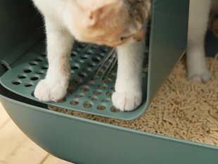Makesure Green Cat Sandbox kissanhiekkalaatikko, tummanvihreä hinta ja tiedot | Kissan hiekkalaatikot | hobbyhall.fi