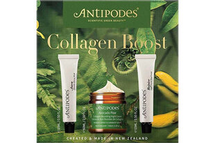 Kosmetiikkasetti Antipodes Collagen Boost Set: päivävoide, 15 ml + yövoide, 60 ml + kasvonaamio, 15 ml hinta ja tiedot | Vartalovoiteet ja -emulsiot | hobbyhall.fi