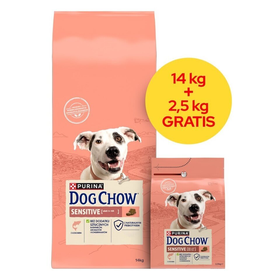 Dog Chow Sensitive ruoka aikuisille koirille, lohen kanssa, 2,5 kg hinta ja tiedot | Koiran kuivaruoka | hobbyhall.fi