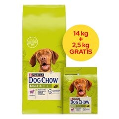 Purina Dofžg Chow ruoka, lampaan kanssa, 14+2,5 kg hinta ja tiedot | Koiran kuivaruoka | hobbyhall.fi