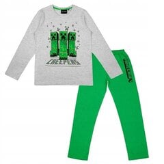 Pyjama Minecraft hinta ja tiedot | Poikien kylpytakit ja pyjamat | hobbyhall.fi