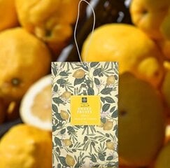 Sachet aromaattisia pusseja, 4 kpl hinta ja tiedot | Sachet Hajuvedet ja kosmetiikka | hobbyhall.fi