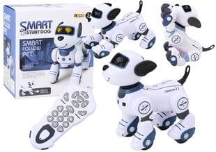 Kauko-ohjattava robottikoira, sininen hinta ja tiedot | Poikien lelut | hobbyhall.fi