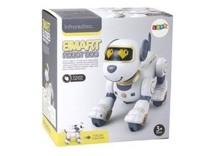 Kauko-ohjattava robottikoira, kultainen hinta ja tiedot | Poikien lelut | hobbyhall.fi