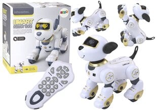 Kauko-ohjattava robottikoira, kultainen hinta ja tiedot | Poikien lelut | hobbyhall.fi