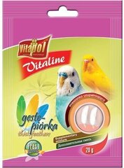 Vitapol Premium Smakers makeisia papukaijoille (2 kpl) 90g hinta ja tiedot | Vitapol Lemmikit | hobbyhall.fi