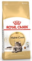 Royal Canin Maine Coon 2 kg hinta ja tiedot | Kissan kuivaruoka | hobbyhall.fi