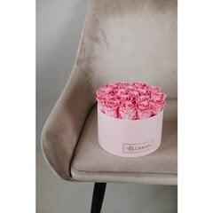 Blummin kestoruusut - Large vaaleanpunainen laatikko Baby Pink (17 ruusua) hinta ja tiedot | Kestoruusut | hobbyhall.fi