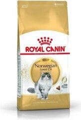 Royal Canin Norja metsäkissat Norvegian, 2 kg hinta ja tiedot | Kissan kuivaruoka | hobbyhall.fi