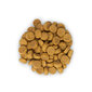 Hill's Science Plan Adult kuivaruoka kissoille, kananmakuinen, 1,5kg hinta ja tiedot | Kissan kuivaruoka | hobbyhall.fi