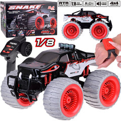 Monster Truck Snake kauko-ohjattava auto hinta ja tiedot | Poikien lelut | hobbyhall.fi