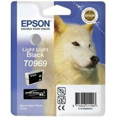 Epson Singlepack Light Light Black T0969 hinta ja tiedot | Mustekasetit | hobbyhall.fi