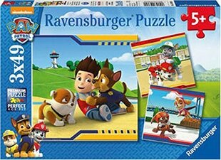 Palapeli Ravensburger, 3 x 49 kpl, Ryhmä Hau hinta ja tiedot | Ravensburger Lapset | hobbyhall.fi