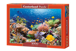 Palapeli Castorland Coral Reef Fishes, 1000 kpl hinta ja tiedot | Palapelit | hobbyhall.fi