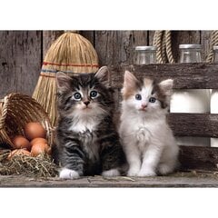 Clementoni High Quality Lovely Kittens, 1000 palainen palapeli hinta ja tiedot | Palapelit | hobbyhall.fi