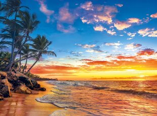 Puzzle Clementon Korkealaatuinen Kokoelma Paradise Beach, 500 osaa hinta ja tiedot | Palapelit | hobbyhall.fi