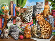 Palapeli Castorland House of Cats, 2000 kpl hinta ja tiedot | Palapelit | hobbyhall.fi