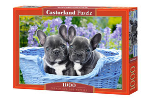 Palapeli Castorland Ranskanbulldogin pennut, 1000 palaa hinta ja tiedot | Palapelit | hobbyhall.fi