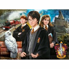 Palapelilaatikko 61882 Harry Potter, 1000 palaa hinta ja tiedot | Palapelit | hobbyhall.fi