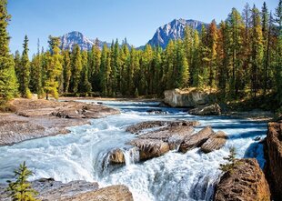 Puzzle 1500 osaa Athabasca-joki, Jasperin kansallispuisto, Kanada hinta ja tiedot | Palapelit | hobbyhall.fi
