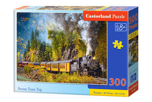 Puzzle 300 HÖYRYJUNAMATKA 030446 hinta ja tiedot | Palapelit | hobbyhall.fi