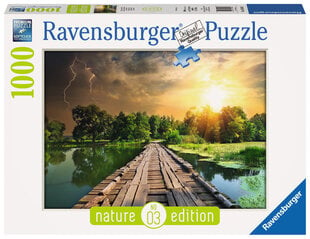 Palapeli 1000 Eleets Valojen peli hinta ja tiedot | Ravensburger Lapset | hobbyhall.fi