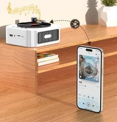 Retro vinyyli bluetooth kaiutin subwoofer mini kannettava kortti USB langaton kaiutin hinta ja tiedot | Kaiuttimet ja soundbarit | hobbyhall.fi