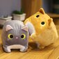 Aphmau Pehmolelut, Meemeows Cat Aphmau Pehmo, Aphm Orange KLB hinta ja tiedot | Pehmolelut | hobbyhall.fi