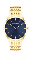 Katso unisex Calvin Klein Intrigue 25300007 hinta ja tiedot | Naisten kellot | hobbyhall.fi