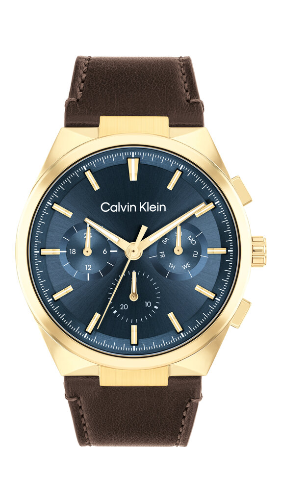 Miesten kello Calvin Klein Distinguish 25200445 hinta ja tiedot | Miesten kellot | hobbyhall.fi