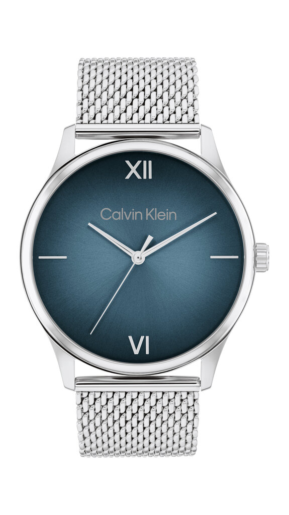 Miesten kello Calvin Klein Ascend 25200450 hinta ja tiedot | Miesten kellot | hobbyhall.fi