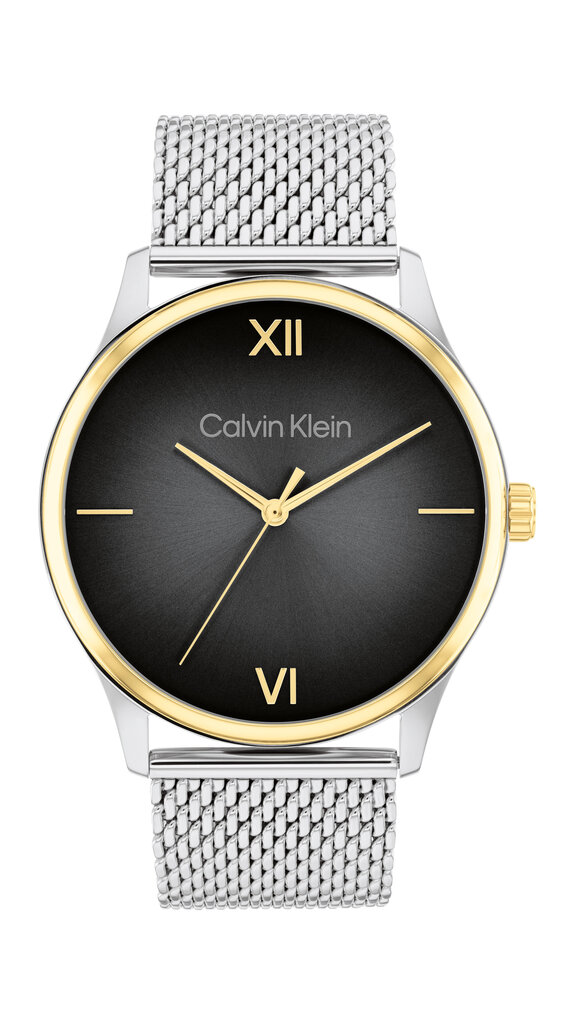 Miesten kello Calvin Klein Ascend 25200452 hinta ja tiedot | Miesten kellot | hobbyhall.fi