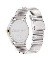 Miesten kello Calvin Klein Ascend 25200452 hinta ja tiedot | Miesten kellot | hobbyhall.fi