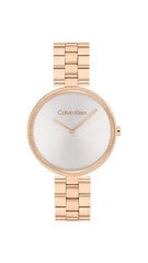 Naisten kello Calvin Klein Gleam 25100013 hinta ja tiedot | Naisten kellot | hobbyhall.fi