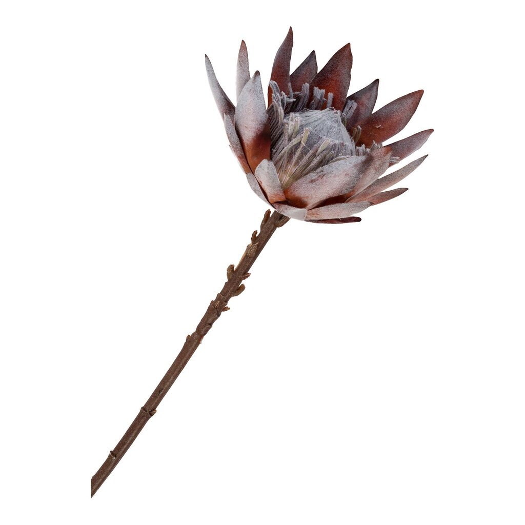 Tekokukat - King Protea -kimppu - K: 74 cm - Ruususekoitus. hinta ja tiedot | Keinotekoiset kukat | hobbyhall.fi