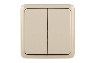 kytkin 2-osainen pinta beige hinta ja tiedot | Kytkimet ja pistorasiat | hobbyhall.fi