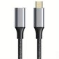 100W USB-C Pikalatauskaapeli 3.1, 10Gbps litteä jatkojohto OTG-muunnin hinta ja tiedot | Kaapelit ja adapterit | hobbyhall.fi