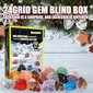 Mini Gem Digger joulukalenteri hinta ja tiedot | Joulukoristeet | hobbyhall.fi