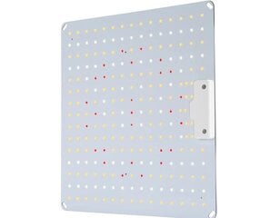 Vayalt LED B600 hinta ja tiedot | Sisäpuutarhat ja kasvilamput | hobbyhall.fi