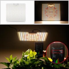 Vayalt LED B600 hinta ja tiedot | Sisäpuutarhat ja kasvilamput | hobbyhall.fi