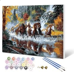 Maalaus numeroin Fuumuui, hevoset, 40x50 cm hinta ja tiedot | Fuumuui Lelut yli 3-vuotiaille lapsille | hobbyhall.fi