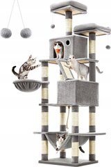 Raapimistolppa Mozos Kitty-Tree, 206 cm, harmaa hinta ja tiedot | Raapimispuut ja kiipeilypuut | hobbyhall.fi