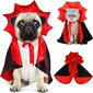 Halloween Koiran puku Koira Vampyyri Paholainen Puku Halloween Viitta Cape Kissa Koira hinta ja tiedot | Koiran vaatteet | hobbyhall.fi