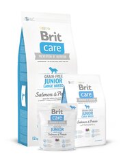 Brit Care Junior Large Breed Salmon & Potato täysravinto koirille 12kg hinta ja tiedot | Koiran kuivaruoka | hobbyhall.fi