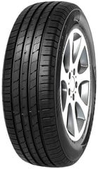 Minerva Ecospeed 2 SUV 255/55R20 110 W XL hinta ja tiedot | Kesärenkaat | hobbyhall.fi