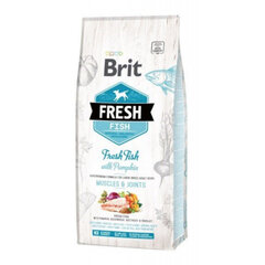 Brit Fresh Fish & Pumpkin Adult Large Muscles & Joints täysravinto aikuisille koirille 12 kg hinta ja tiedot | Brit Fresh Koirat | hobbyhall.fi
