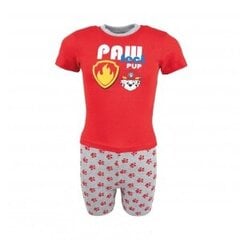 Pyjama lapsille Paw Patrol hinta ja tiedot | Poikien kylpytakit ja pyjamat | hobbyhall.fi