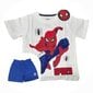 Pyjama lapsille Spiderman hinta ja tiedot | Poikien kylpytakit ja pyjamat | hobbyhall.fi